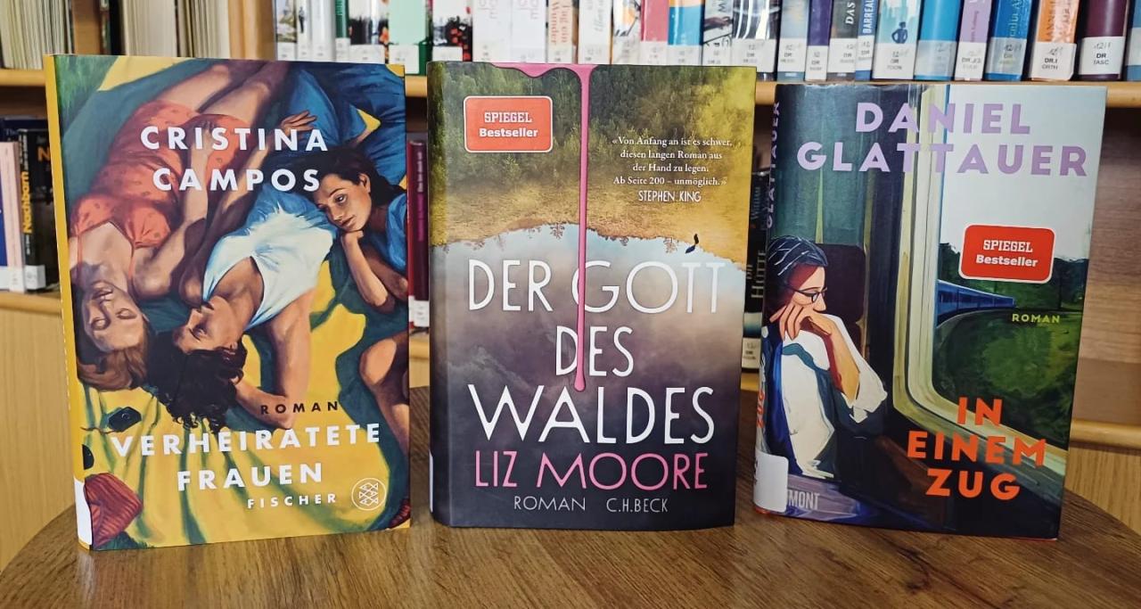 Bücher Romane