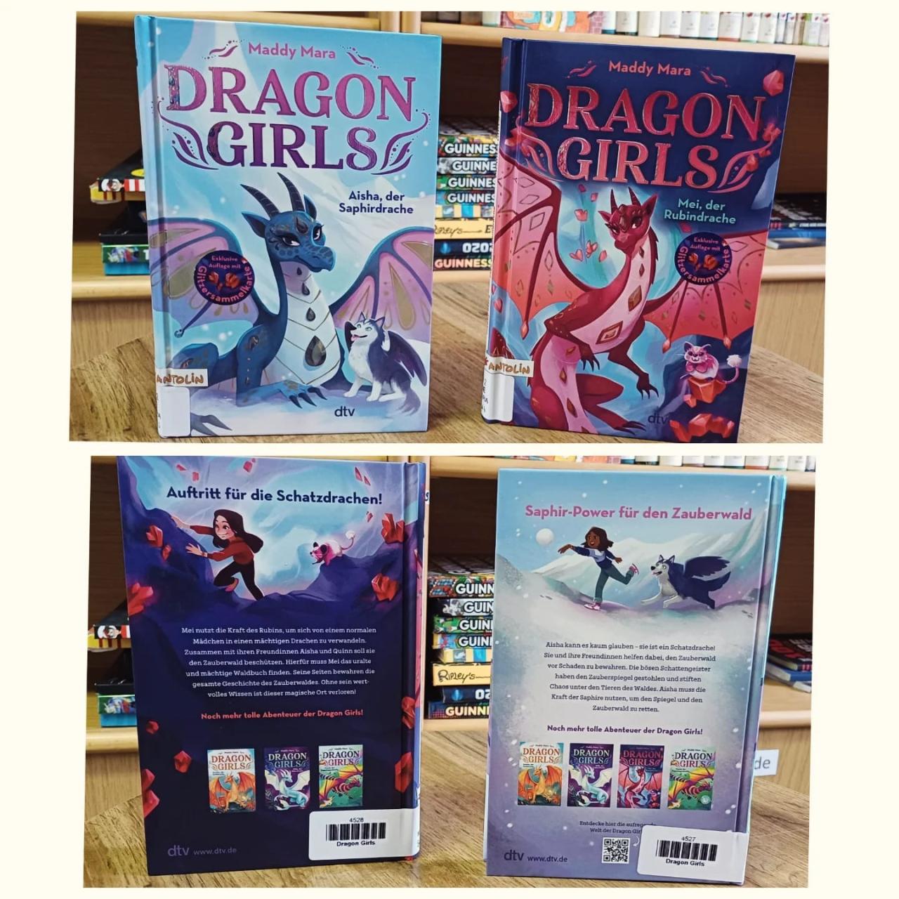 Buch Dragon Girls