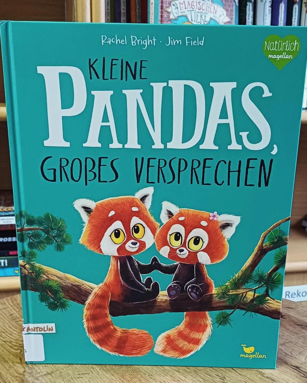 Buch Kleine Pandas, großes Versprechen
