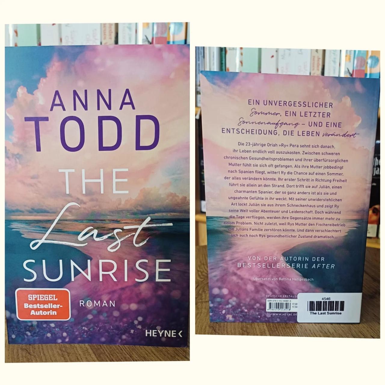 Buch The last sunrise