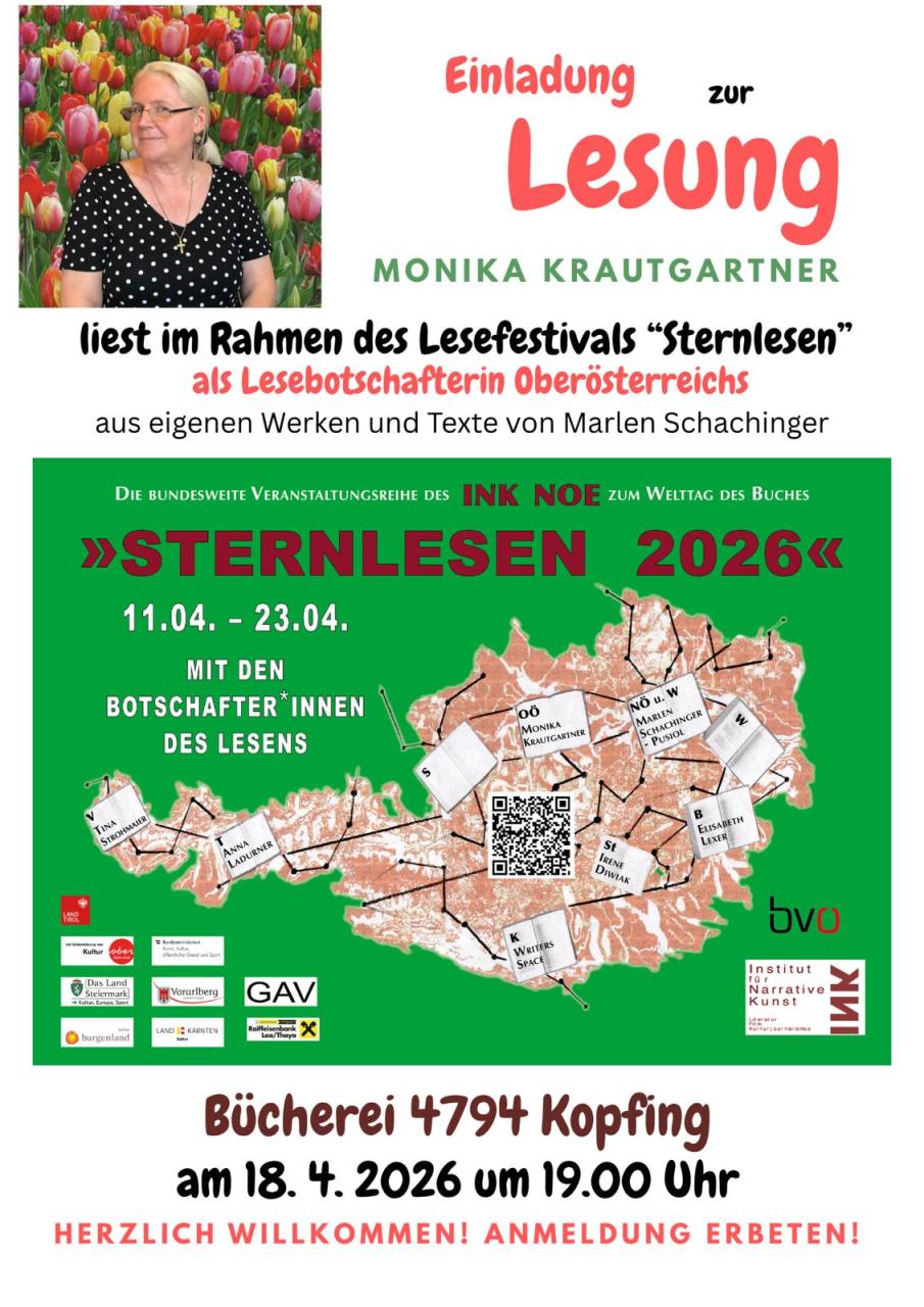 Flyer Sternlesen